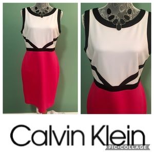 Calvin Klein Fitted Color Block Dress